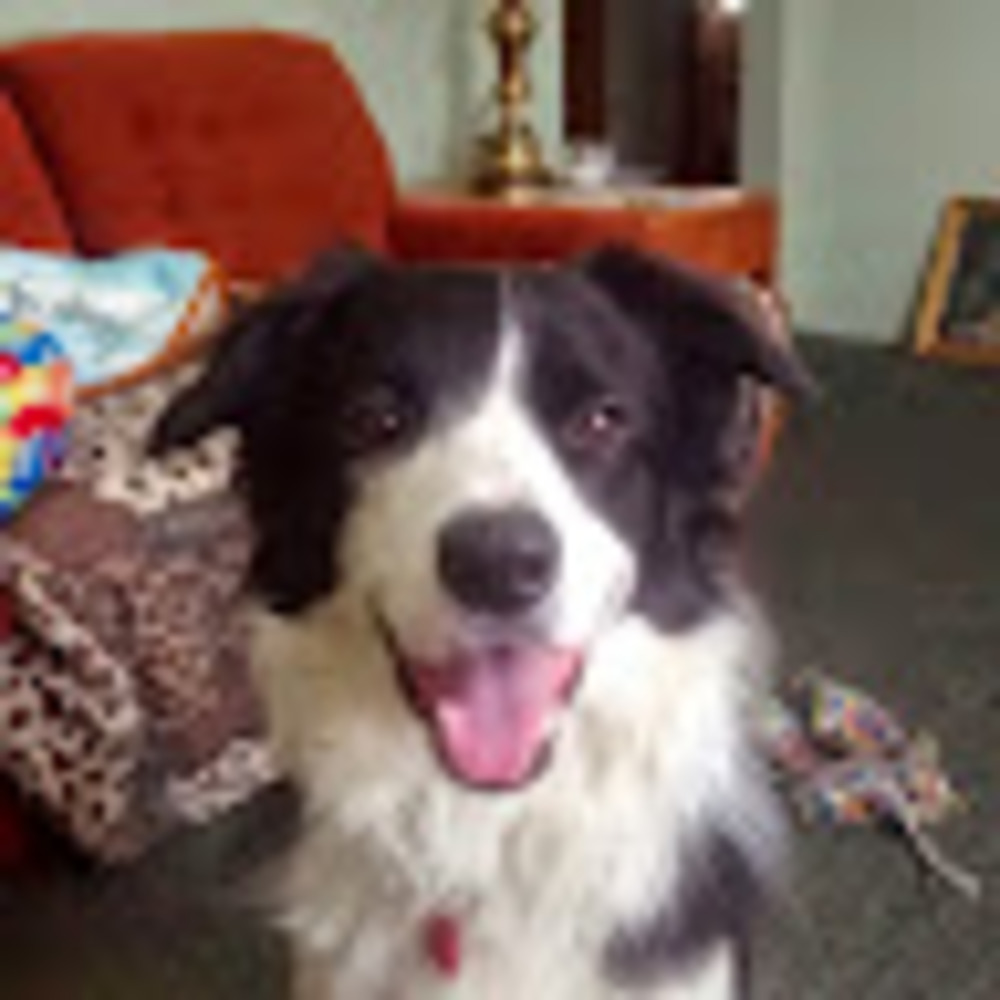 Meet your Posher, Mary